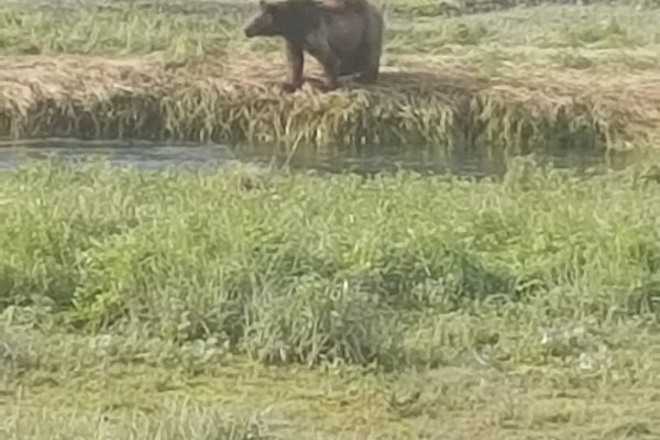 interior20170808_172118